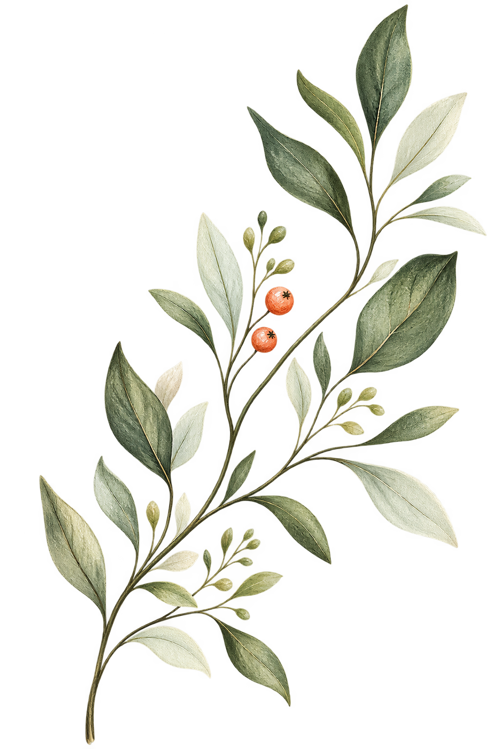 Transparent botanical decoration with fine branches and separate leaves