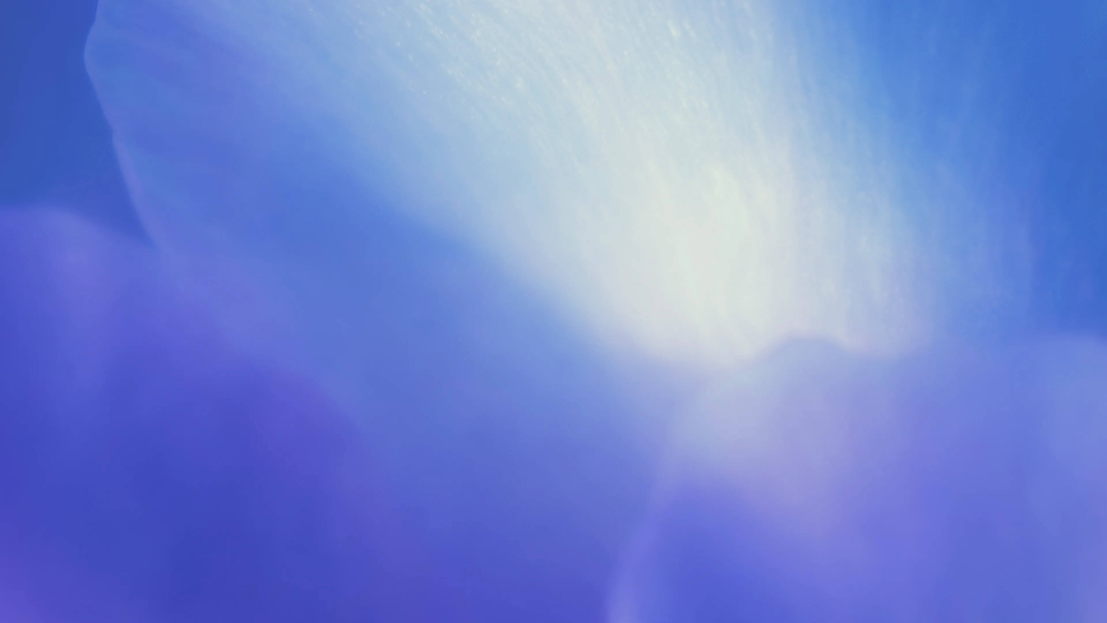 Codex changelog
